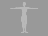 BODY CONTROL BODY CONTROL